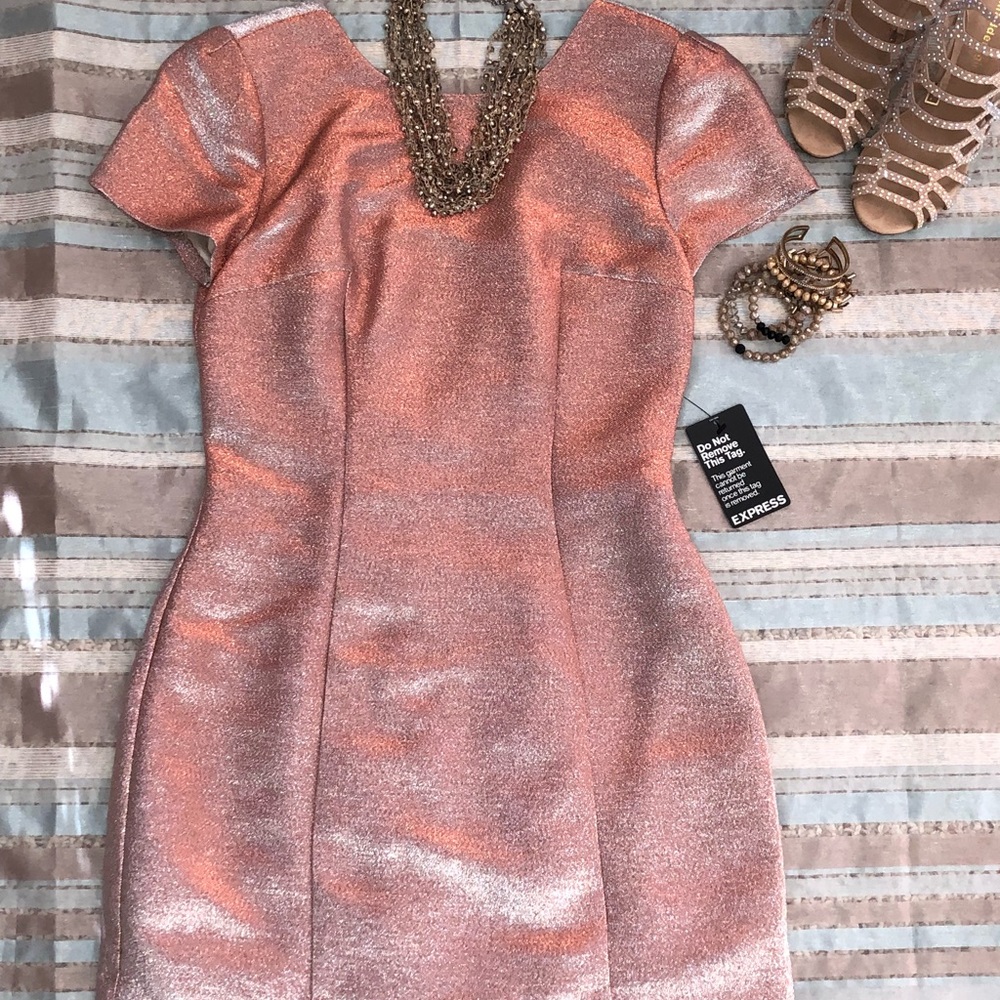 Gorgeous Mini Cocktail/ Holiday Dress